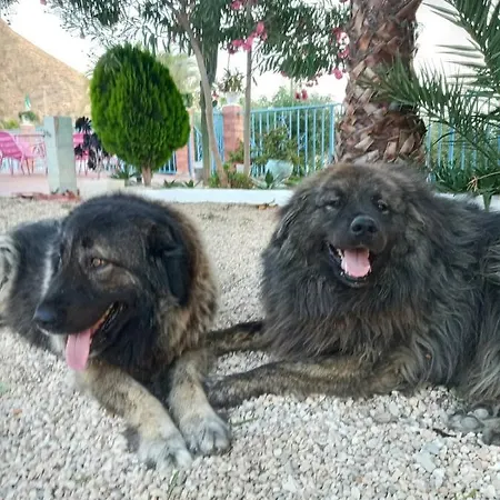 Recovery Mountain 2 Separate Beds In Bed & Breakfast Alicante